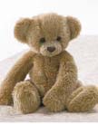 Ano Voice Recordable Teddy Bear