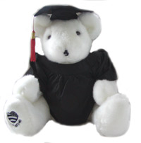 Graduate White Voice Recordable Bear