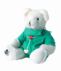 Surgeo Voice Recordable Bear