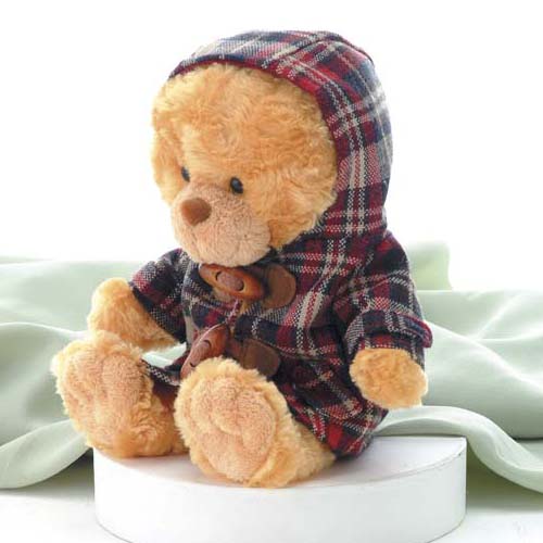 Toto Voice Recordable Teddy Bear