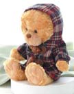 Toto Voice Recordable Teddy Bear