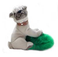 Pugnacious